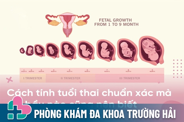 Chia sẻ các cách tính tuổi thai chuẩn xác khác