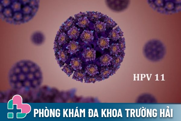 HPV type 11 là gì?