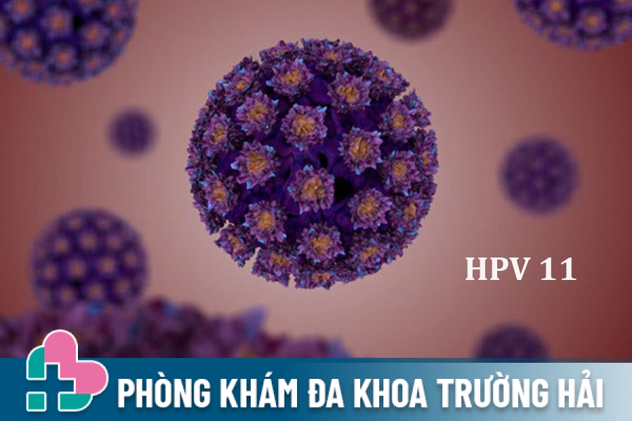 HPV type 11 là gì? Có gây bệnh nguy hiểm không?