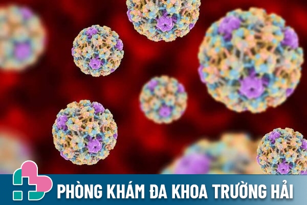 HPV type 52 có nguy hiểm không?