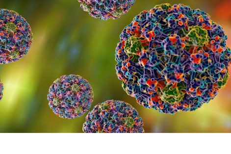Virus HPV là gì? Nguyên nhân, triệu chứng, chẩn đoán và phòng ngừa