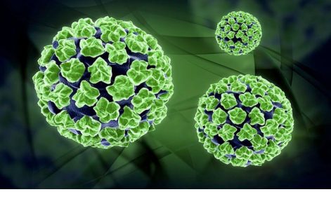 Virus HPV sống được bao lâu ngoài môi trường