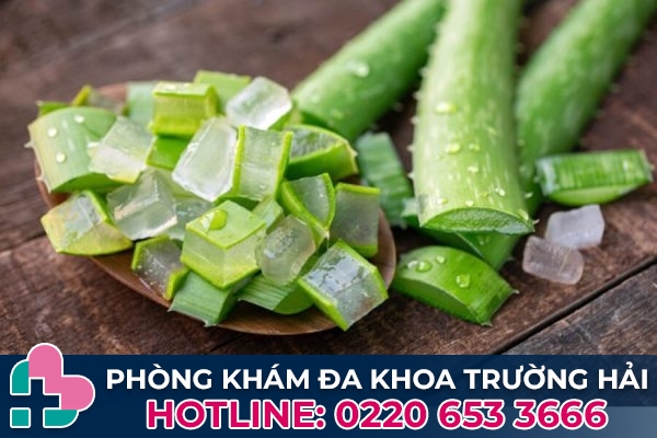 Cách chữa bệnh trĩ bằng phương pháp dân gian - Dùng nha đam