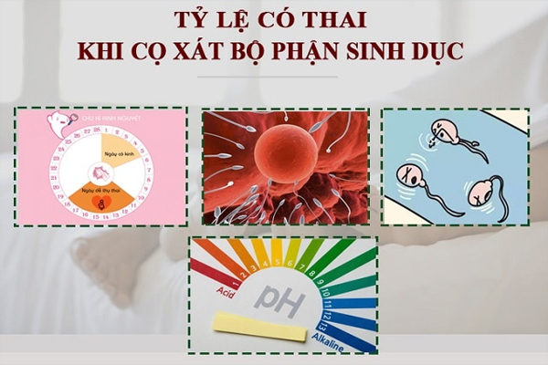 Tỷ lệ có thai khi cọ xát bộ phận sinh dục là bao nhiêu phần trăm còn phụ thuộc vào nhiều yếu tố khác